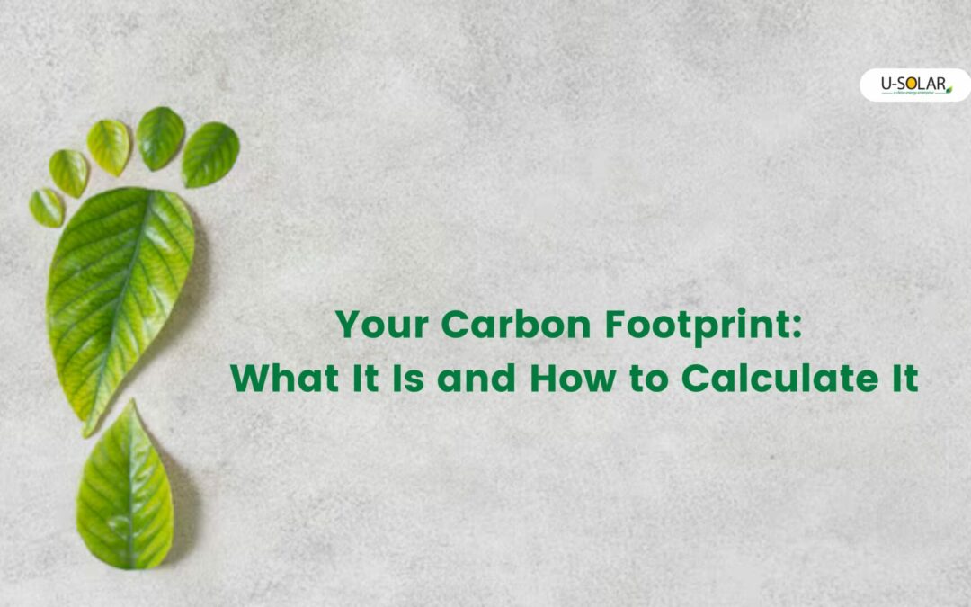 Ultimate Carbon Footprint Mastery: Amplify Your Eco-Impact